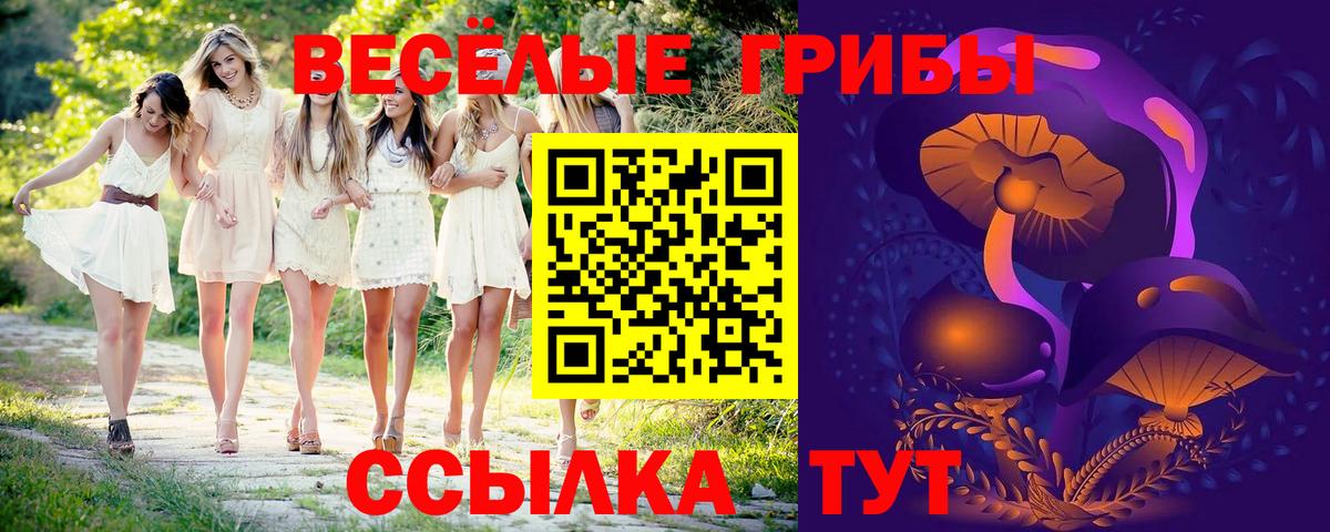 Псилоцибиновые грибы прущие грибы  закладки  Горячий Ключ  Вход с VPN 