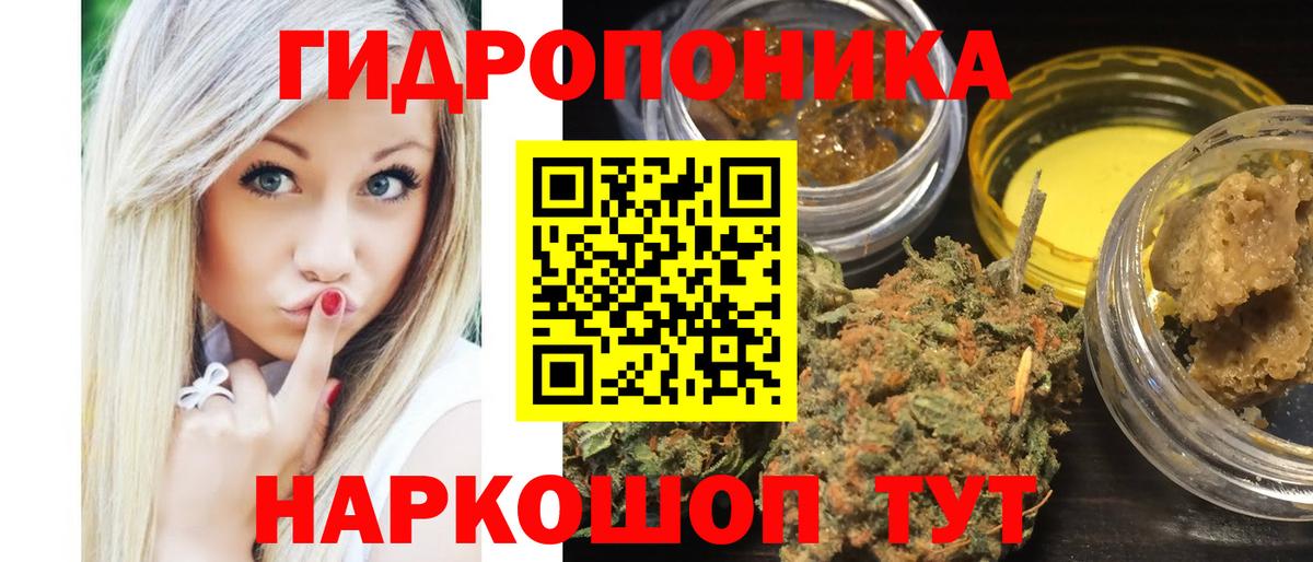 Конопля Amnesia  Вход с VPN  Горячий Ключ  Конопля AK-47 